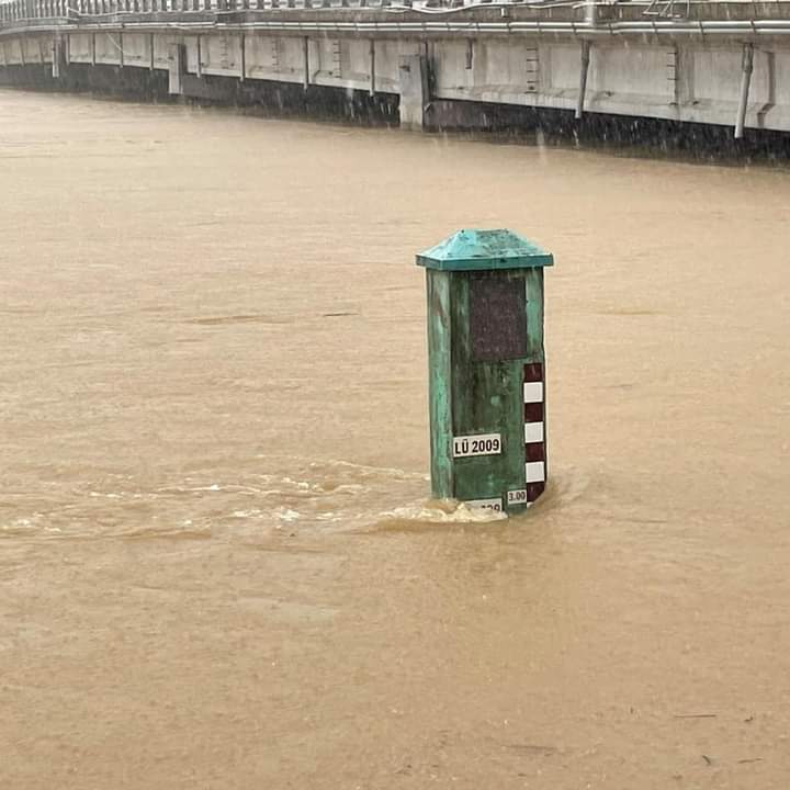 48594de71aa5d2fb8bb4