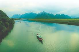 TVHN