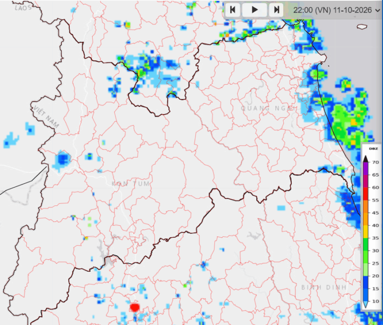 Dong
